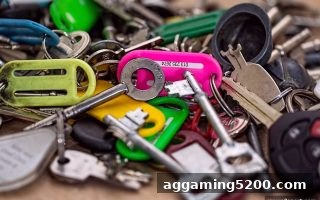 皇冠新2深度解读：网络娱乐平台合法性与官方网址甄别全攻略