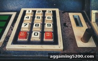 皇冠新2：电子游戏体验优化与VIP礼包价值的全面解读